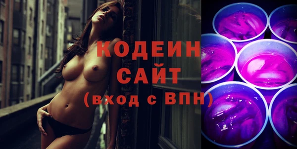 ПСИЛОЦИБИНОВЫЕ ГРИБЫ Арсеньев