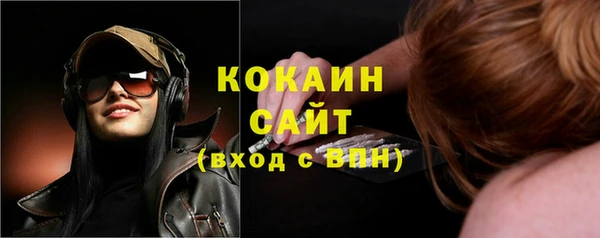 ПСИЛОЦИБИНОВЫЕ ГРИБЫ Арсеньев