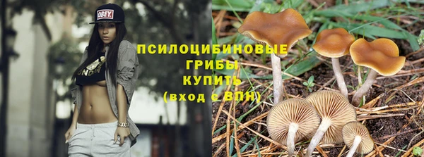 ПСИЛОЦИБИНОВЫЕ ГРИБЫ Арсеньев