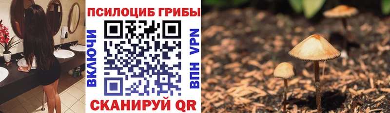 МЕГА tor  Магас  Галлюциногенные грибы Psilocybe 